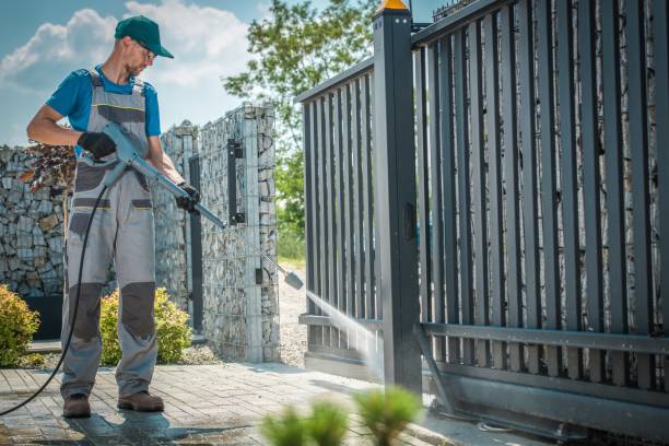 Animal Enclosure Cleaning in Victory Gardens, NJ